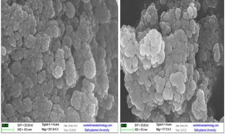 SEM imaging of spherically mono-dispersed silver nanoparticles